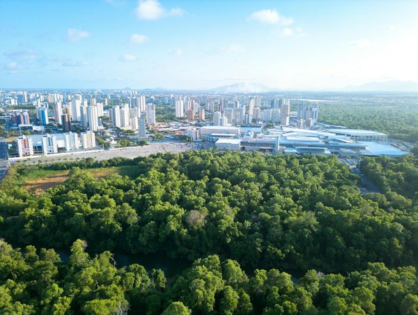 Comment les réseaux sociaux peuvent-ils contribuer à l'égalité des sexes ?